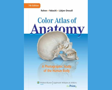 Color Atlas of Anatomy: A Photographic Study of the Human Body 7th Edition