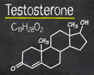 What Is Testosterone?